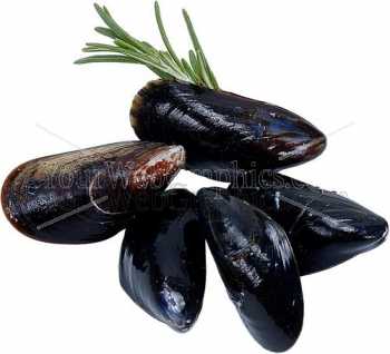 photo - mussels-jpg